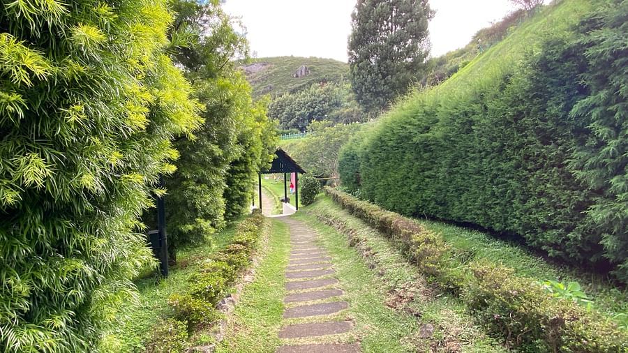 Ooty Exterior 2