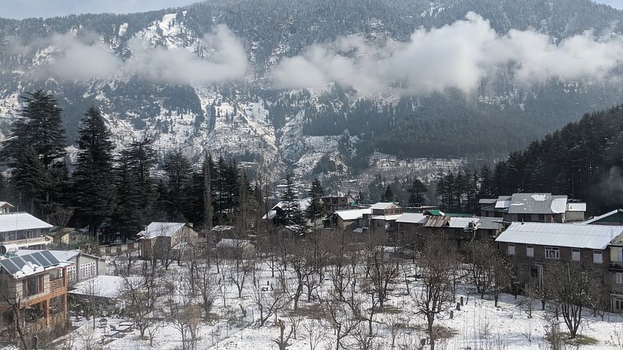 A land covered in snow, dried trees, clouds, and mountains