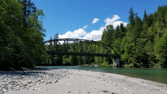A serene river view surrounded by green trees and shot from the river bank.