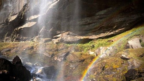 stream with a raindown