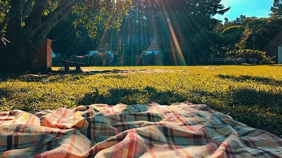 jennie-clavel-G0zoYDFvUXQ-unsplash