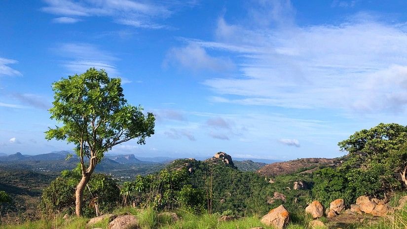 nature reserve