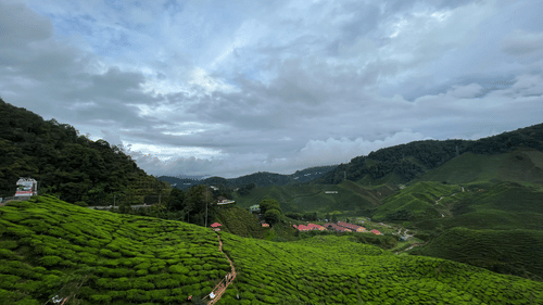 A hilly landscape with tea plantations under a cloudy blue sky.