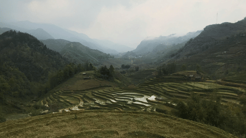 image of a vast greenery spread across the landscape with misty clouds featuring step like structure in the fields on a hilly region