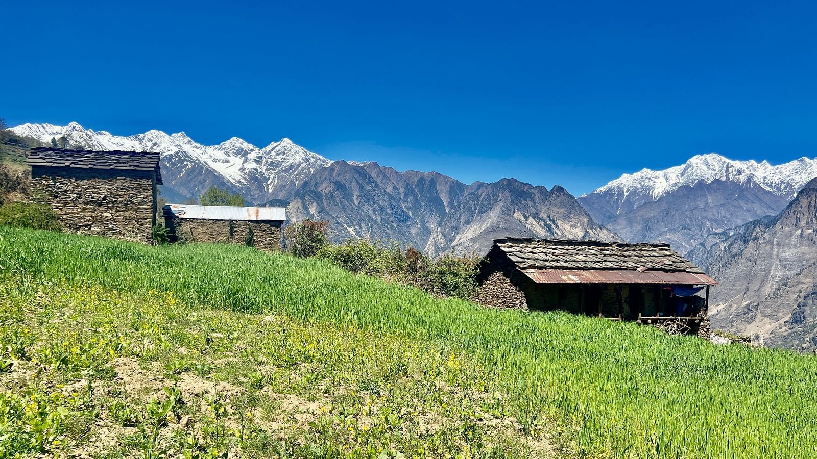 Image of a valley with huts and majestic mountians in the background | Faraway Cottages, Auli