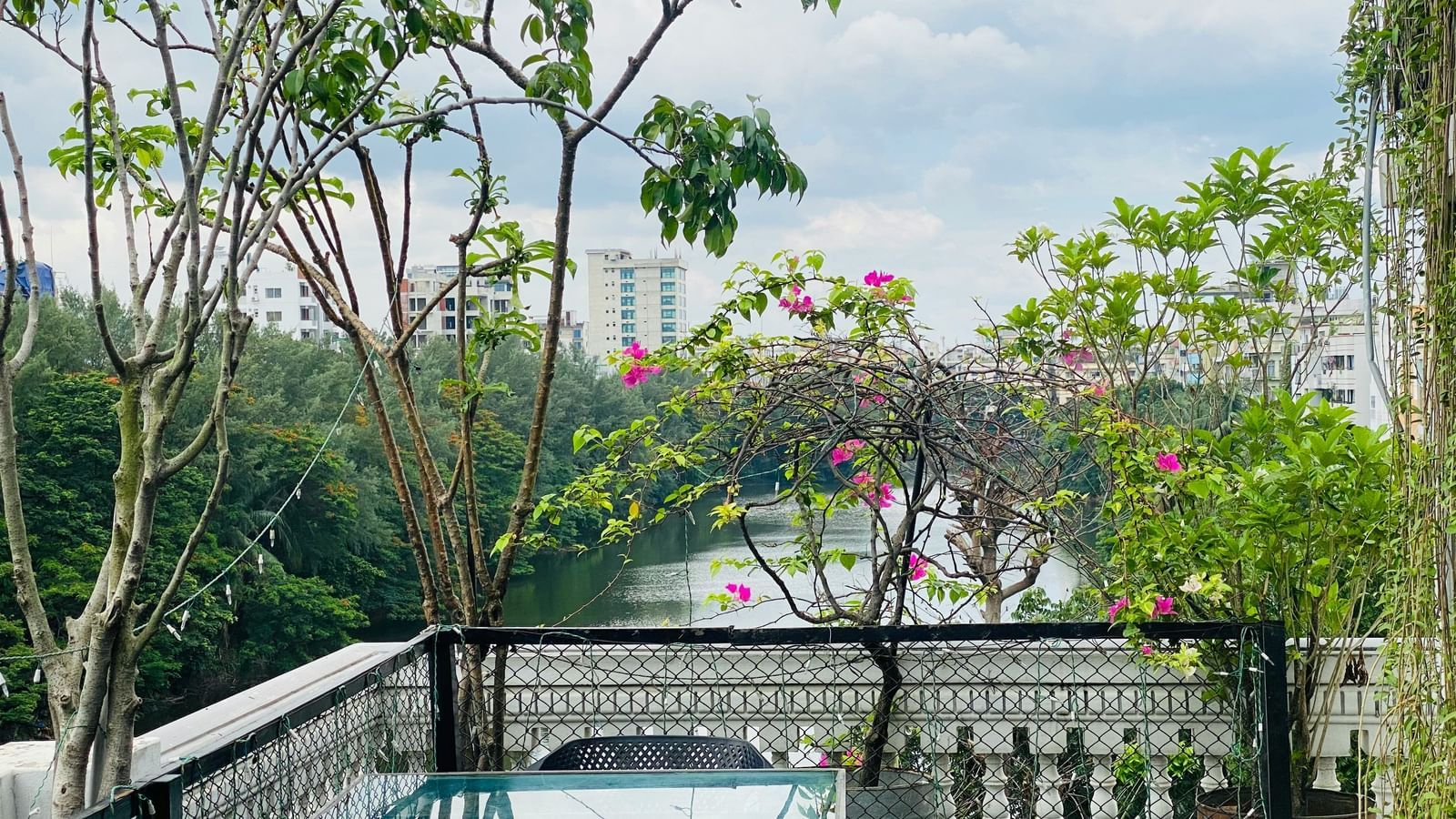  A scenic outdoor patio with a glass table, surrounded by lush greenery