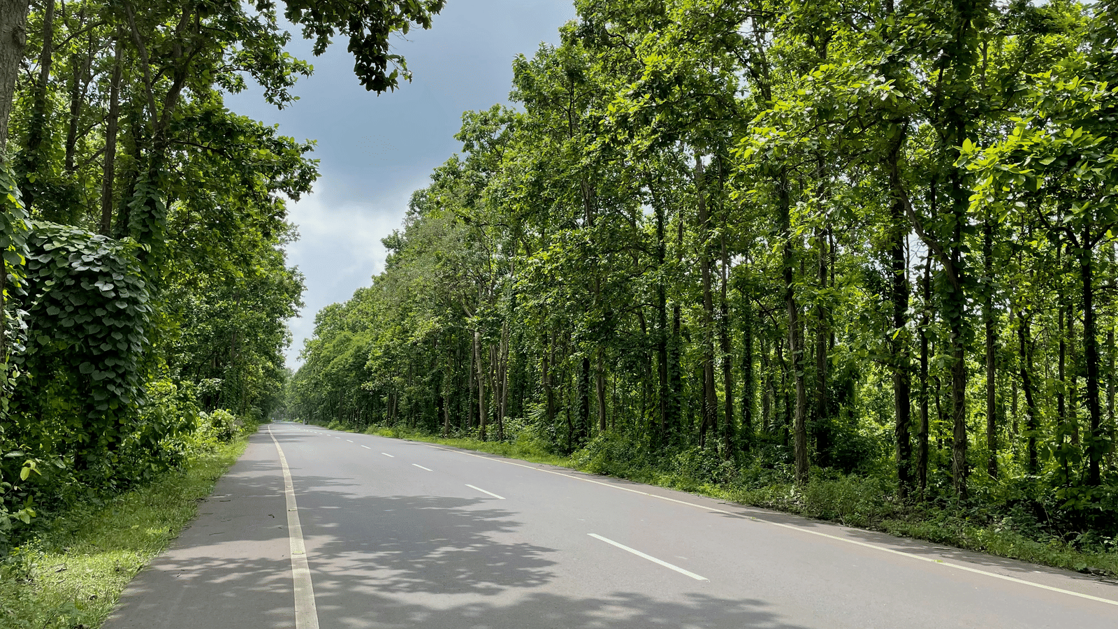 abhideep-mallick-wcSLJ-WSOb4-unsplash