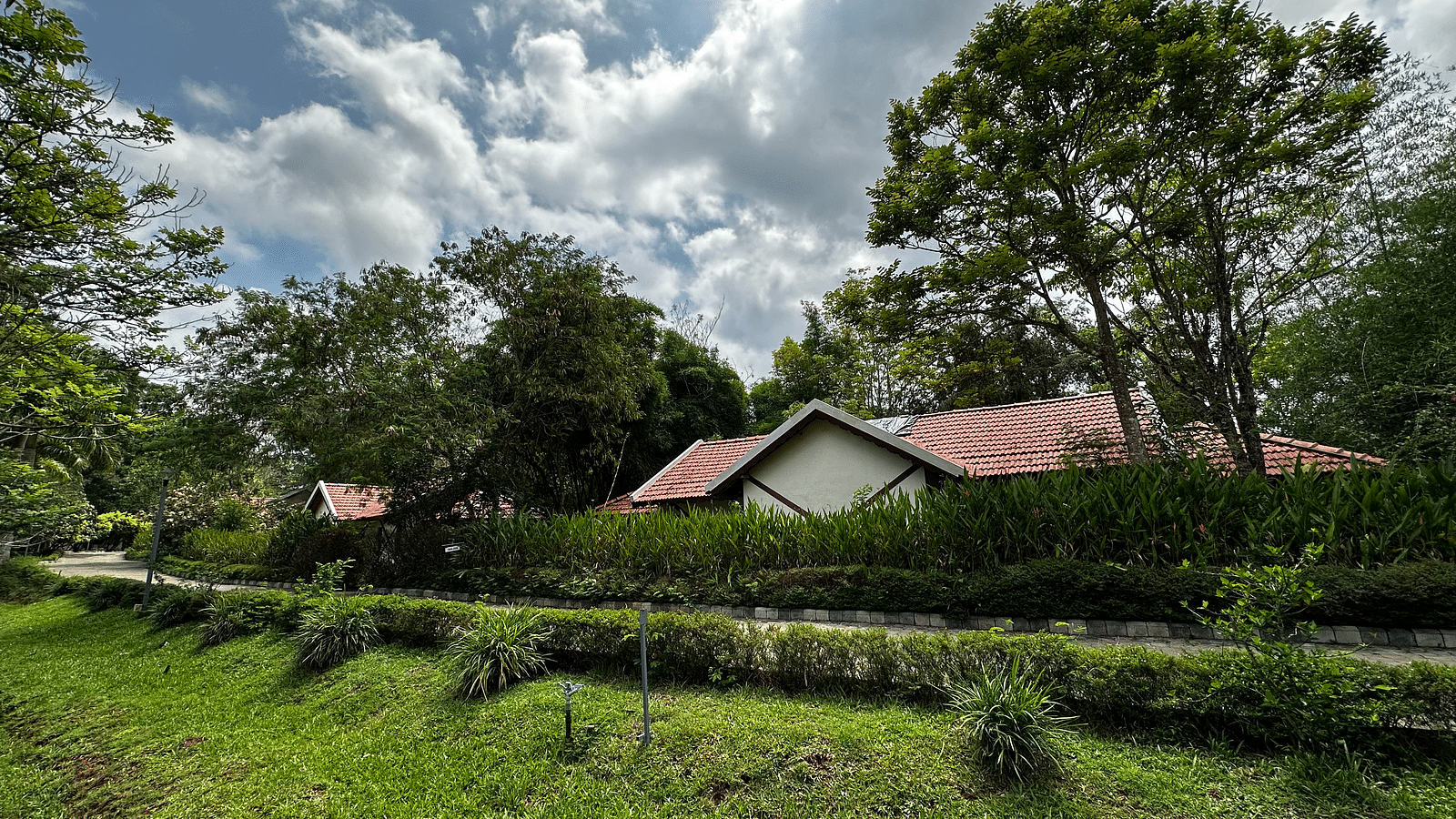 exterior of the property with tall bushes covering the edges - Kadkani River Resort, Coorg