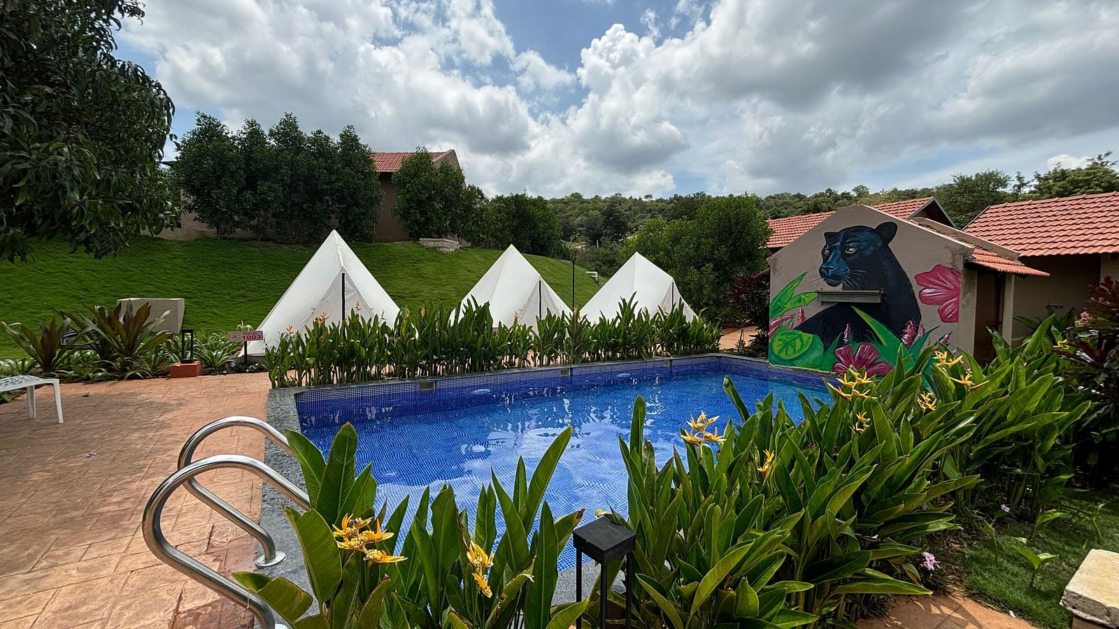 A scenic view of a resort area with pool and tents lined along a neat walkway, surrounded by a well-maintained lawn.