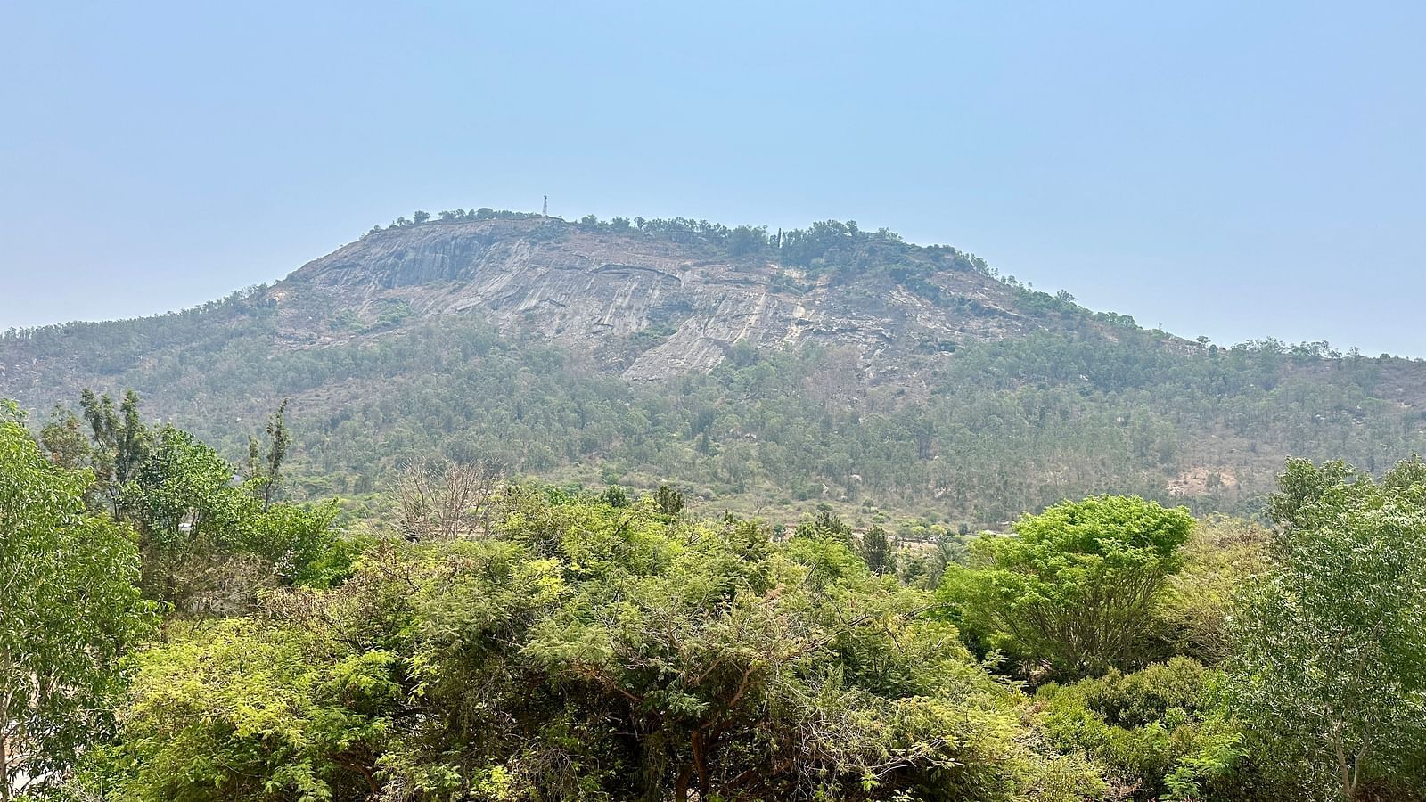 View from the balcony of one of the rooms at Summer House, Nandi Hills