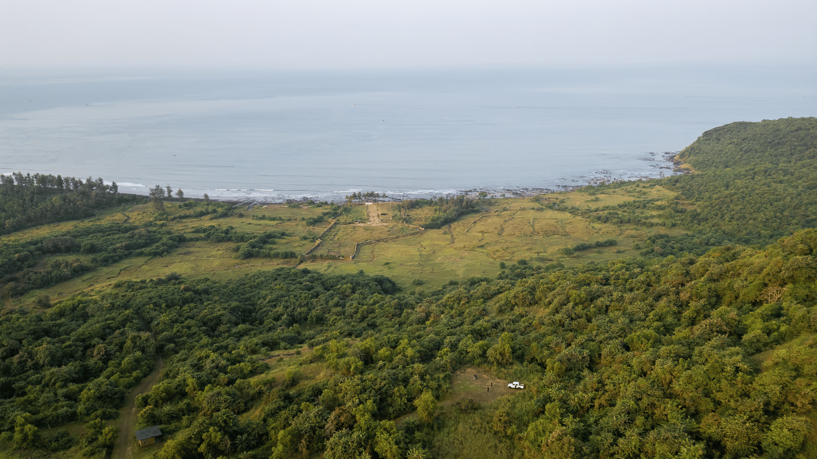 Aerial view showing coastal forest, open grass areas, and the shoreline on the left, with the sea in the background.