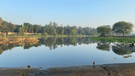 Tranquil lakeside scene reflecting trees and sky, with still waters, earthy banks, and a peaceful natural setting bathed in soft daylight