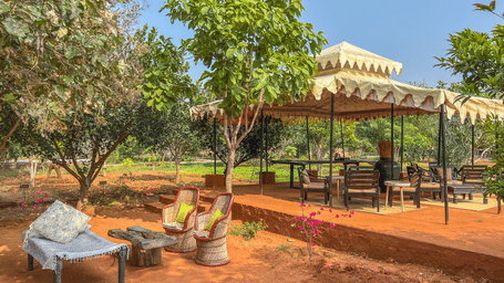 An image of an outdoor seating arrangement with trees surrounding the area - Utsav Camp Sariska
