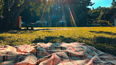 A cloth on a garden with trees in the background
