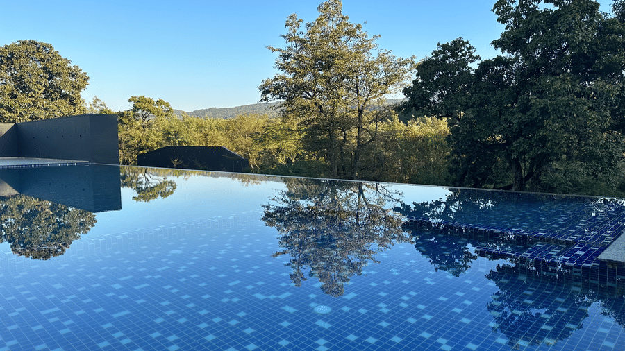 Swimming pool at Bindiga Peak Resort with blue tiles reflecting green trees and a clear sky.