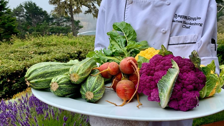 A chef holding a basket of freshly harvested vegetables - Brewery Gulch Inn & Spa
