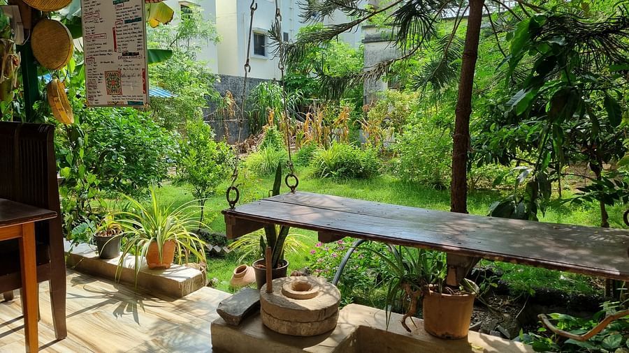 A lush green garden with several bushes and plants at Dream Vision Guest House with a wooden bench overlooking the scenery.
