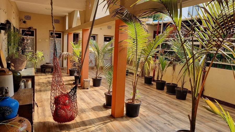 The corridor at Dream Vision Guest House decorated with potted plants along with a small swing hanging from the ceiling.