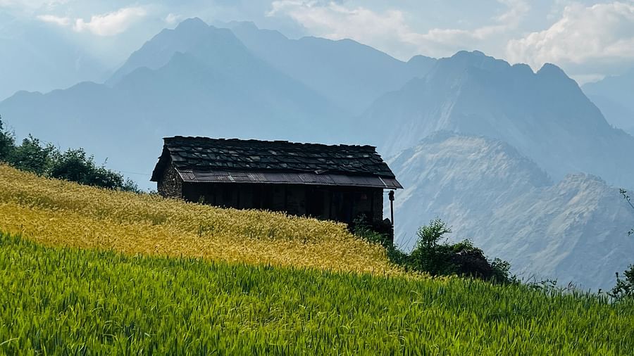 Traditional wooden hut surrounded by fields in a mountainous region  | Faraway Cottages, Auli