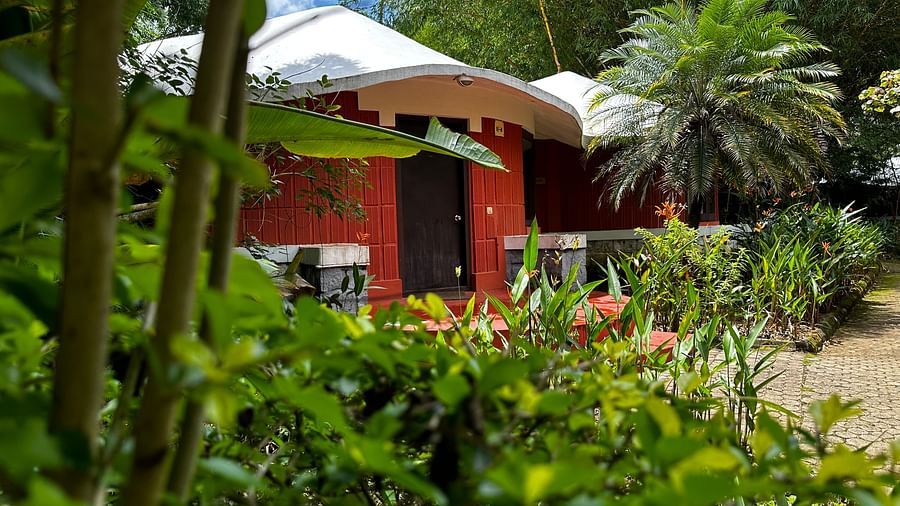 a cottage with bushes and trees all around - Kadkani River Resort, Coorg
