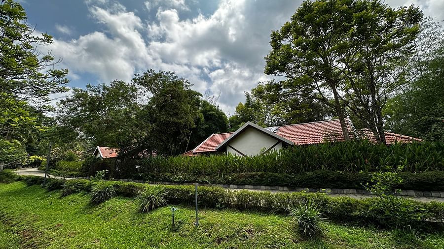 exterior of the property with tall bushes covering the edges - Kadkani River Resort, Coorg
