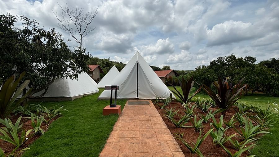 A scenic view of a resort area with tents lined along a neat walkway, surrounded by a well-maintained lawn.