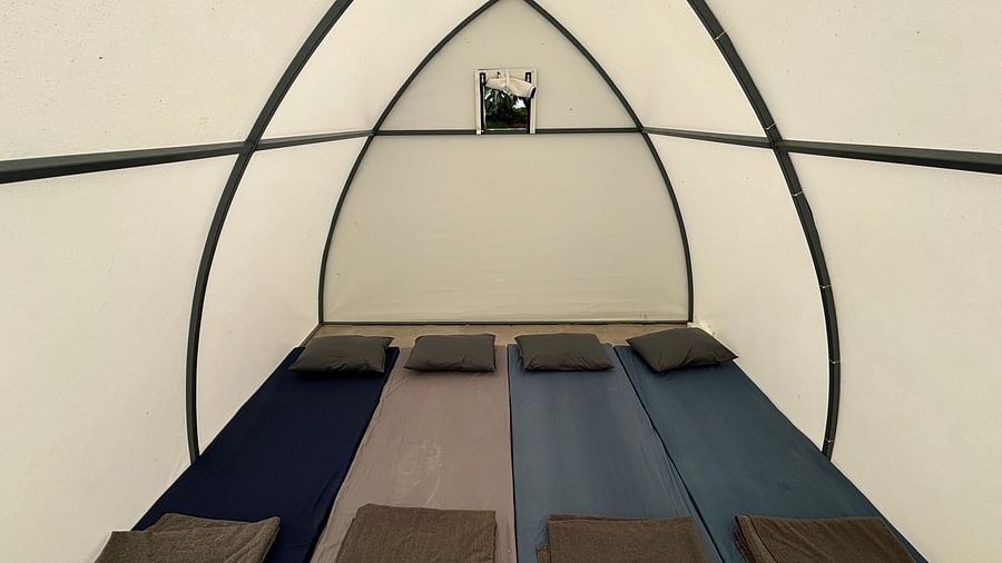 Interior of a spacious tent featuring neatly arranged sleeping mats, offering a comfortable sleeping arrangement for guests.