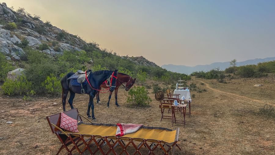 An image of two horses near a seating arrangement with mountains in the background - Utsav Camp Sariska