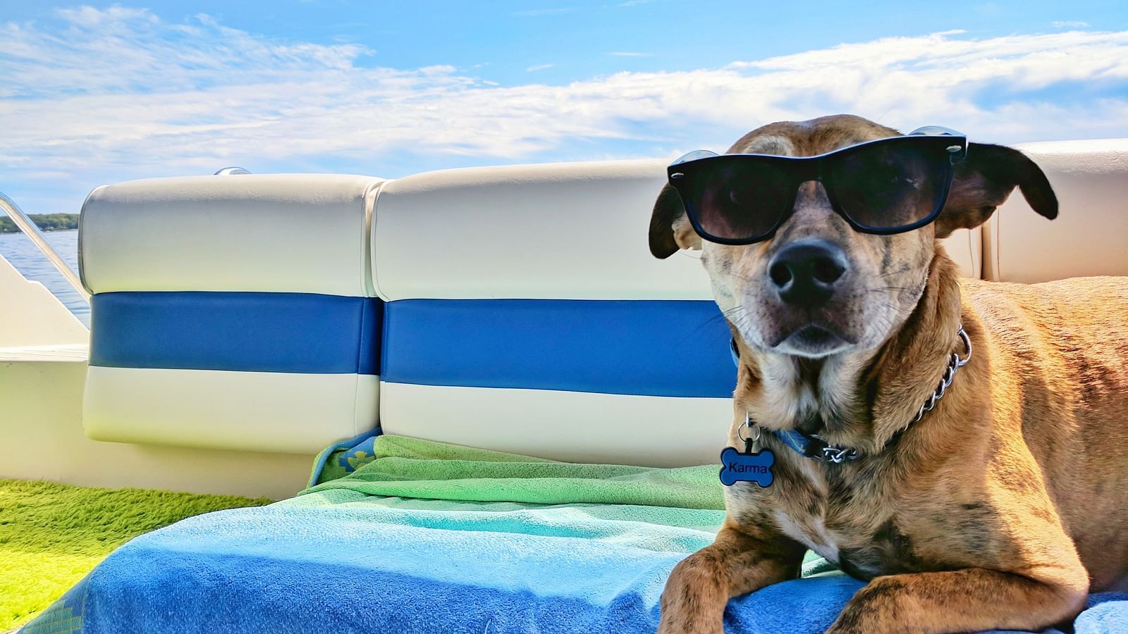 a dog wearing sunglasses while sitting on a lounger near a beach with blue skies in the background