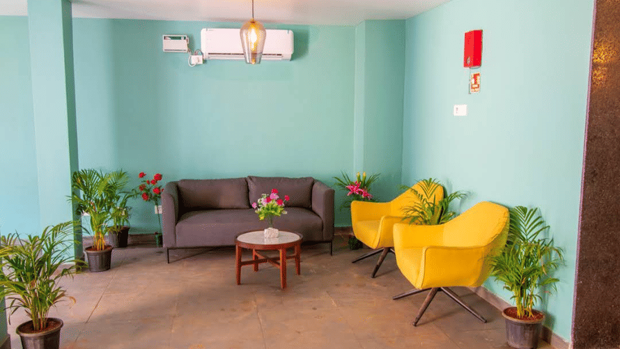 A waiting area featuring a grey sofa, 2 yellow armchairs, and potted plants against green walls at Estherea Elite, Morjim.