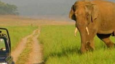 Location Rajaji National Park