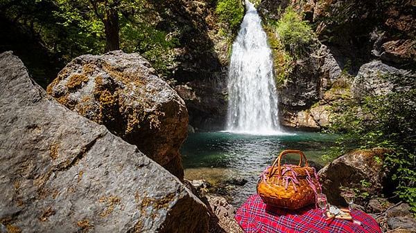 a picnic basket laying on the ground beside a waterfall