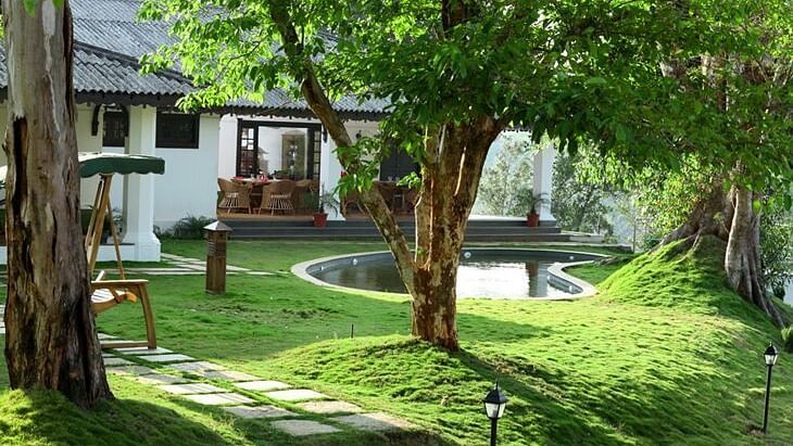 Greenery and trees