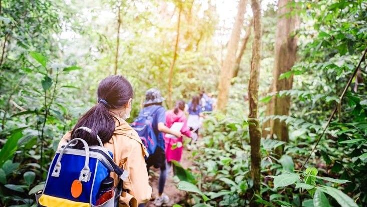 Group of Children with colourful backpacks going for trekking