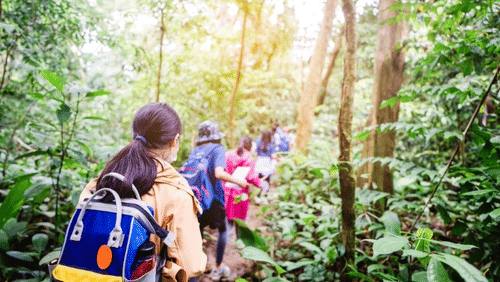 Adventure Awaits: Exploring School Trips Together