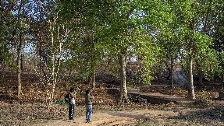 An image of two men doing photography of trees and nearby landscape