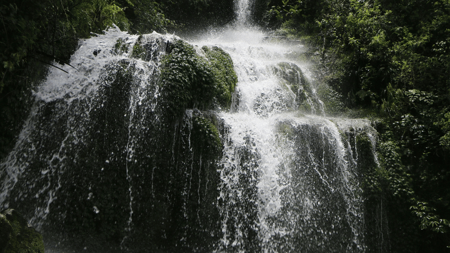 Waterfall on Rocks in Forest