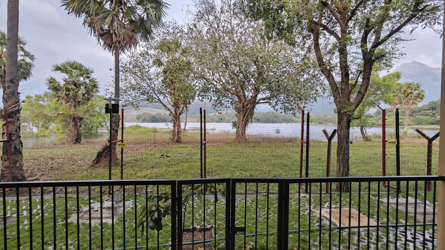 View from a resort balcony overlooking a green lawn, palm trees, and the waterfront - Ibex Resorts, Malampuzha (Kava Eco Camp and Caravan Park)