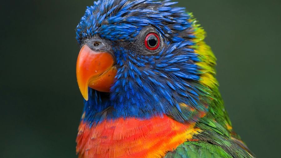 manfred-goetz-uvCxkUuImSw-unsplash