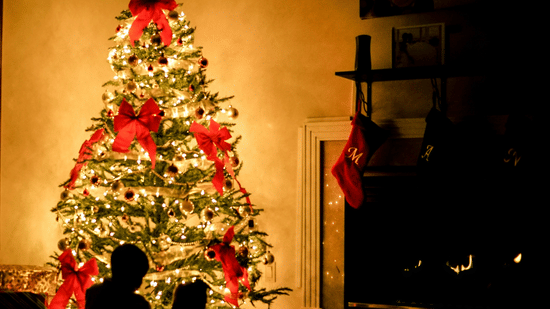 A large, brightly illuminated Christmas tree adorned with red ribbons stands tall in a dark room, silhouetting people in the foreground.