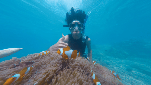 a diver near a clownfish with a water current in the background