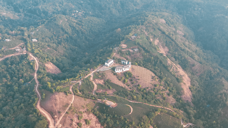 DJI 20260123230012 0458 D