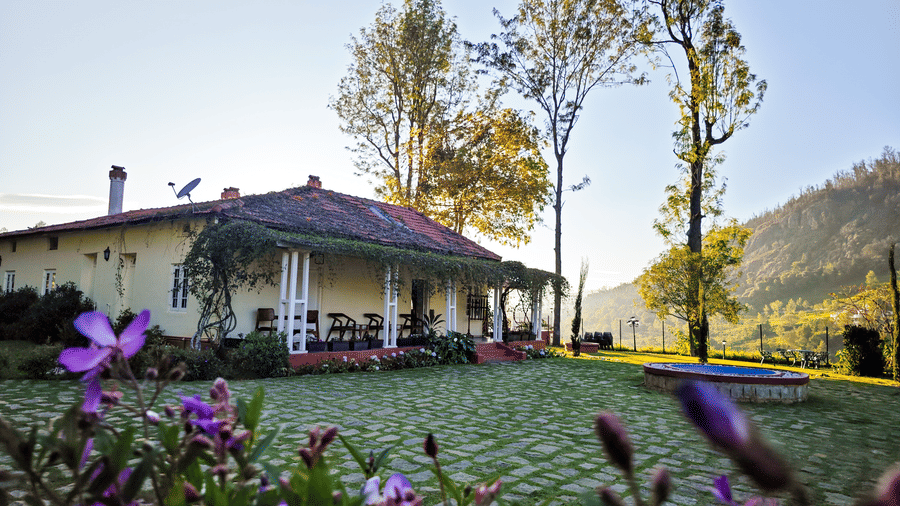 A charming building situated on a vibrant green lawn with purple flowers in the foreground and tall trees against the sky.