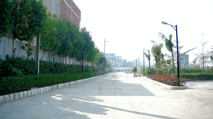 An outdoor view of a paved driveway lined with greenery and trees at the Ram Bhawan Ram Yamuna Prasad Hotel and Resort.