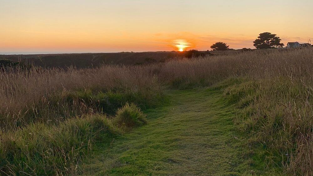  A path winds through a grassy field towards a sunset on the horizon.
