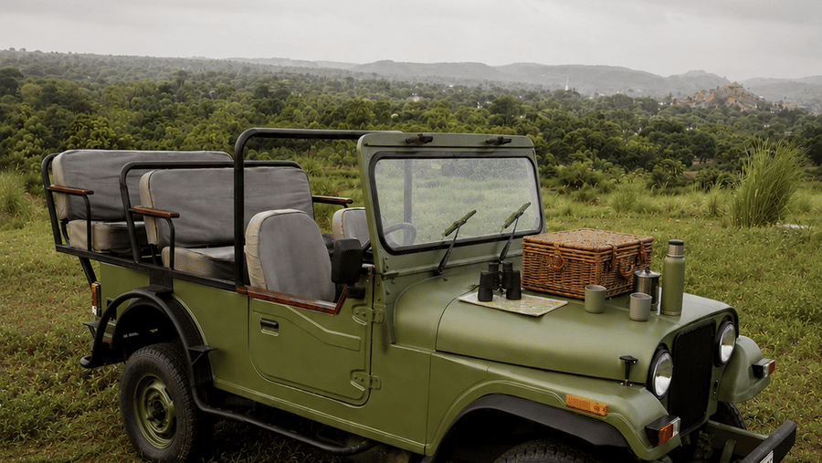 Picnic and Countryside Jeep Safaris-Surya Bagh Ajabgarh-Excursions