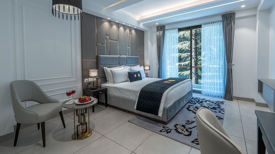 an image of a super deluxe room with a chair and nature view  at Mastiff Select Mandavya Dharamkot, McLeodganj