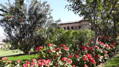 The gardens at Tijara Fort-Palace - 19th Century, Alwar showcase vibrant red oleander flowers blooming amidst green foliage and trees, with the fort-palace visible in the background.