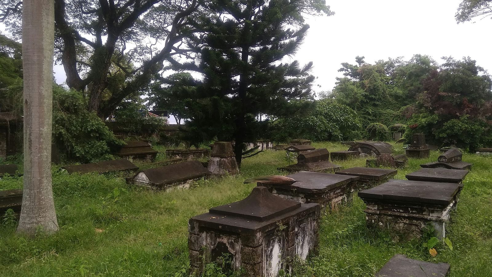  Fresh grass and trees surrounding the area
