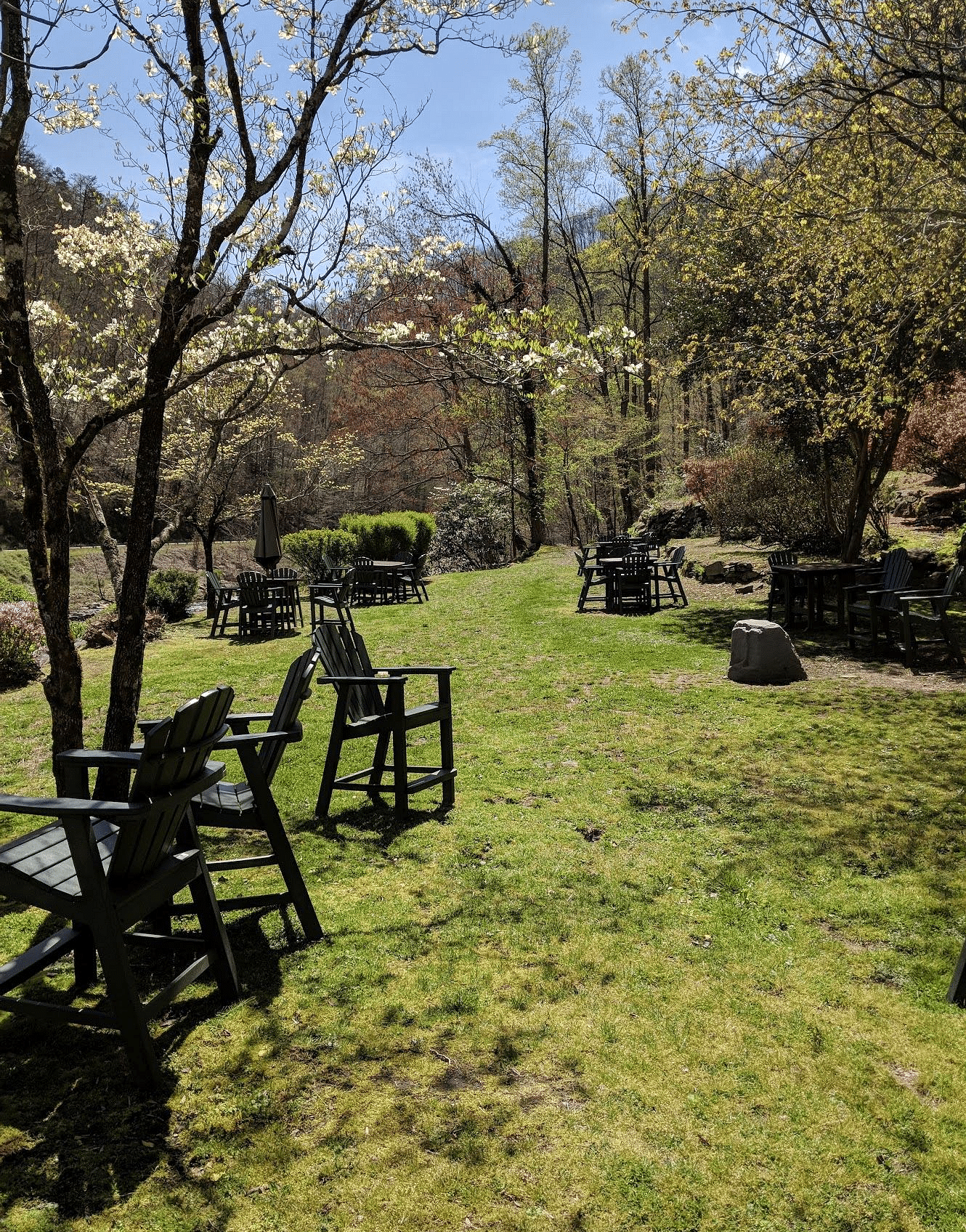 full view image of the Riverside Lawn taken on a bright sunny day featuring a well pruned lawn - Historic Tapoco Lodge